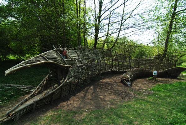 Charles Grayson is a landscape artist and this 30' long wicker salmon was his ambitious final piece for his degree. In the grounds of Golden Grove, it was taken to illustrate and article on the artist in Carmarthenshire Life magazine. 